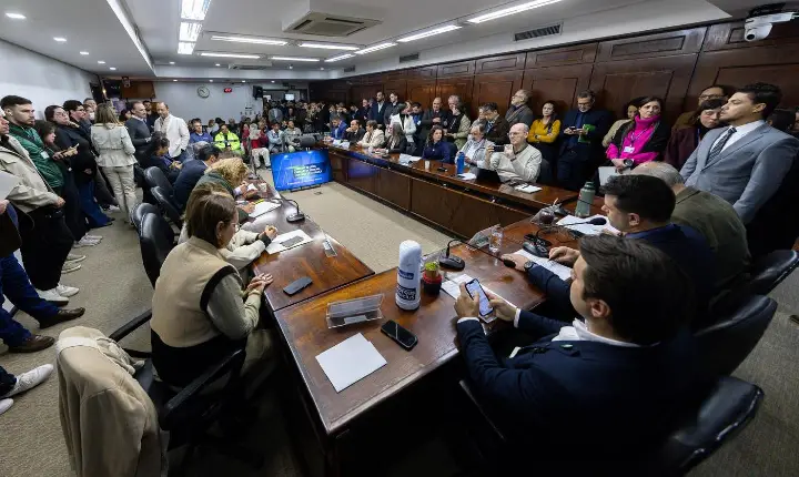 Audiência pública debate impacto da implantação da fábrica da CMPC em Barra do Ribeiro