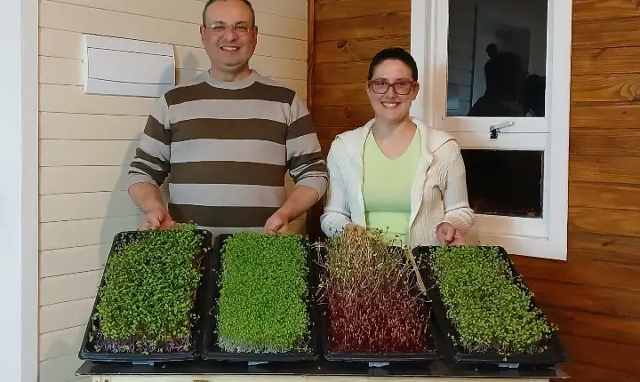 Empreendimento de Guaíba aposta na produção artesanal de microverdes