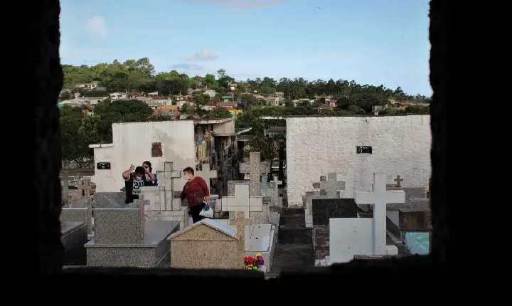 Câmara de Guaíba aprova projeto de lei que permite sepultamento de cães e gatos em cemitérios