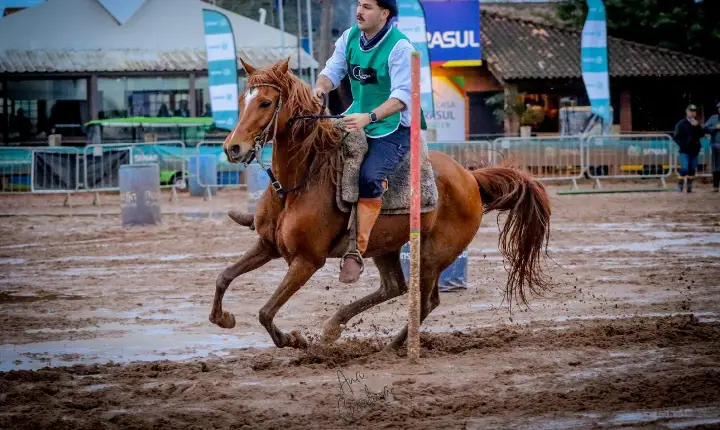 Guaíba se destaca em provas de cavalos árabes da Expointer, em Esteio