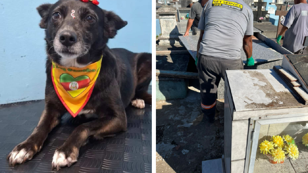 Primeira pet é enterrada no Cemitério Municipal de Guaíba após sanção de nova lei