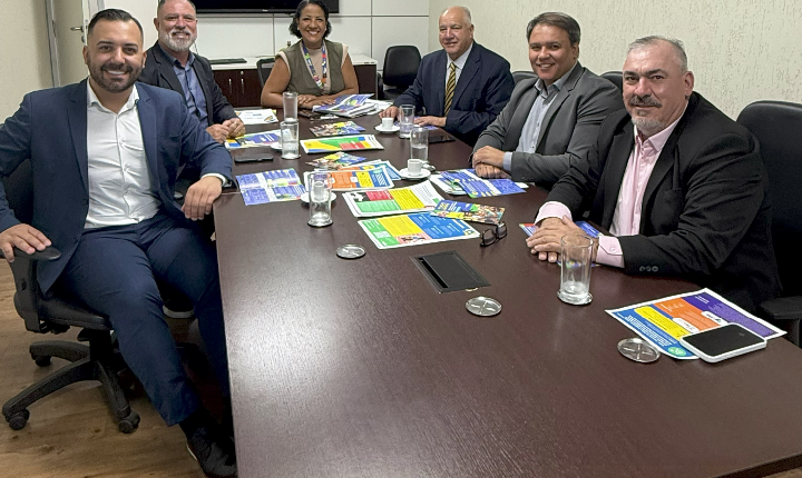 Vereadores cumprem agenda em Brasília para tratar de demandas de Guaíba