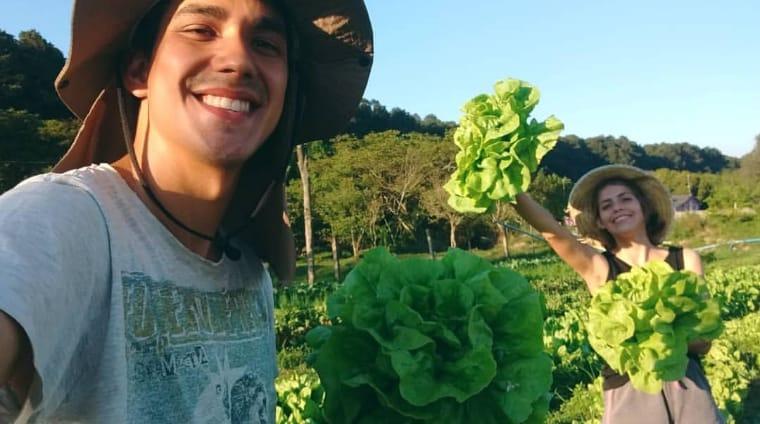 O Anti Êxodo Verde