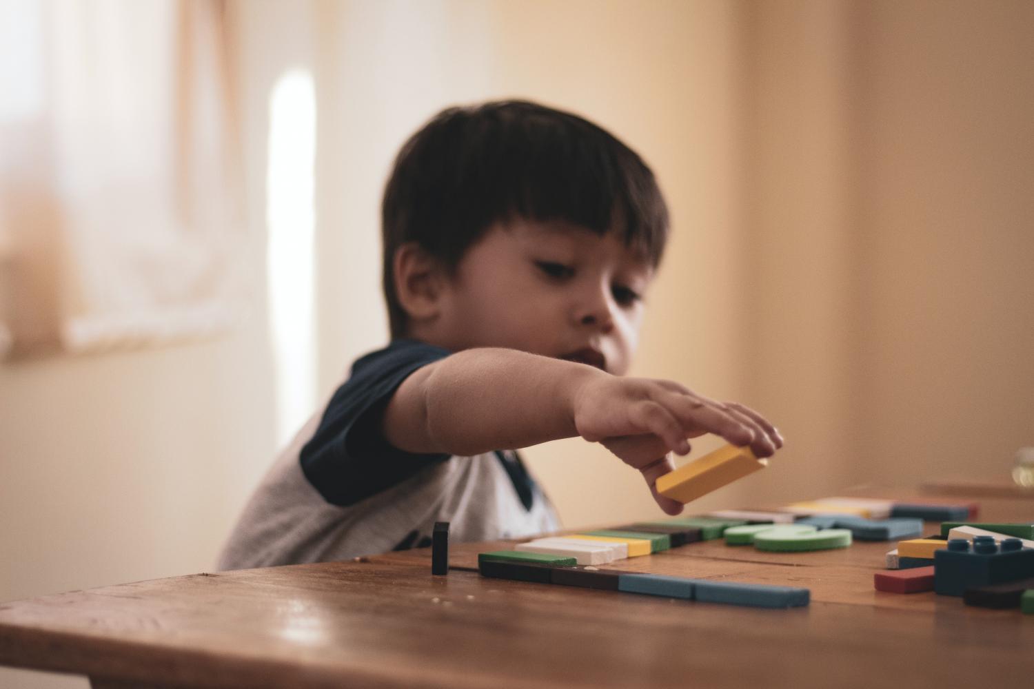 Webinário sobre inclusão escolar abre a Semana da Pessoa com Deficiência