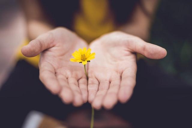 Ciências na cultura surda e a libras
