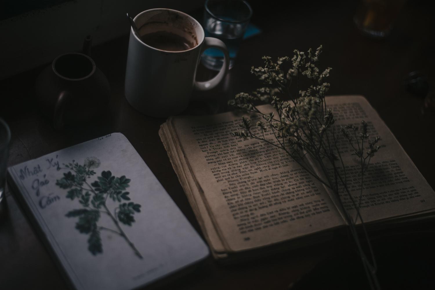 Uma peça, um livro