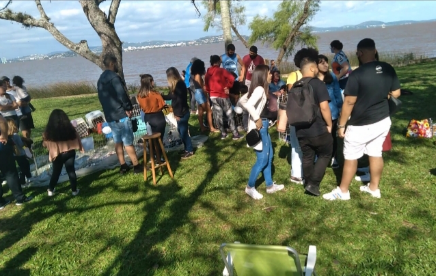 Protetores independentes retomam feira de adoção de animais na Área Verde, no Centro