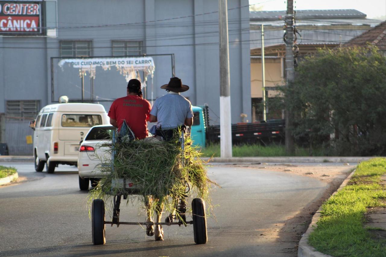Maranata sanciona lei de redução gradativa das carroças em Guaíba