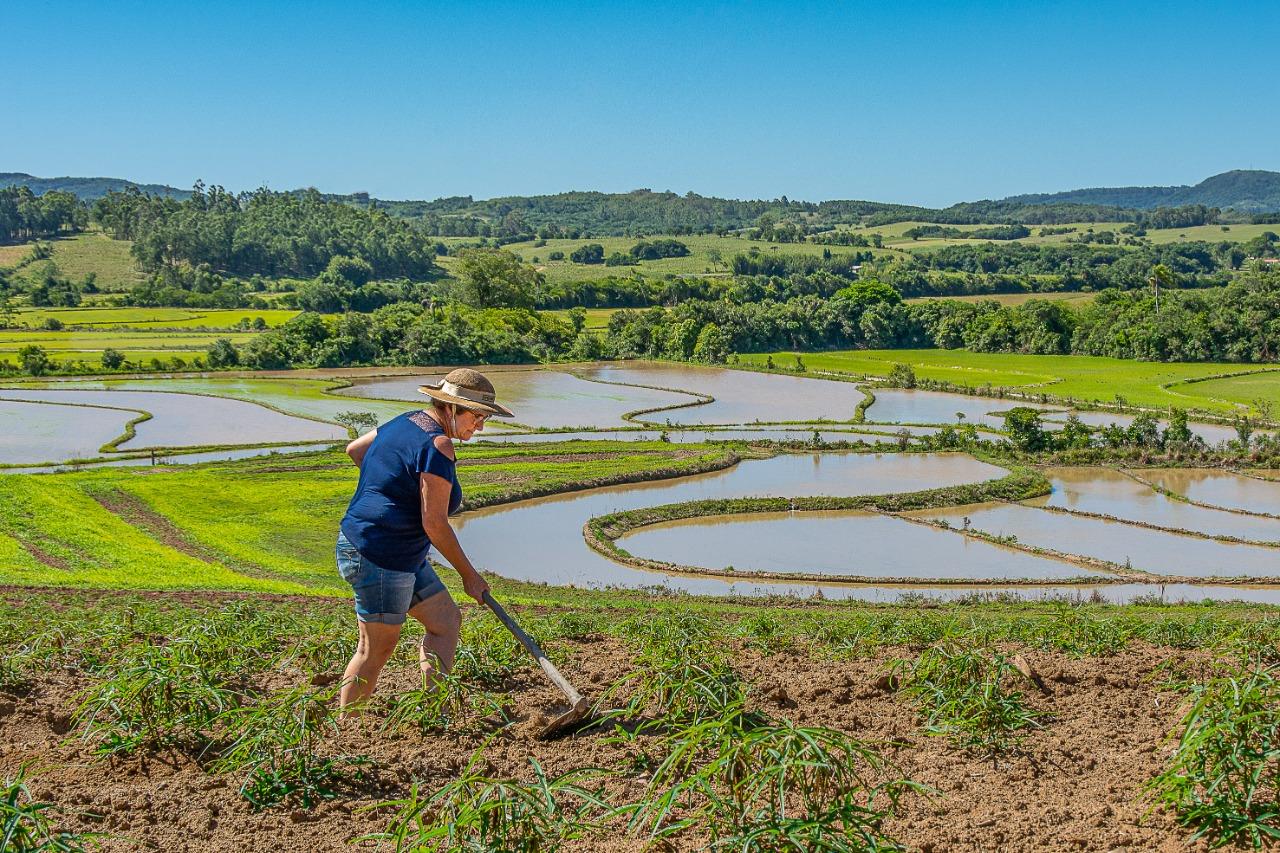 20 anos do Guaíba Foto Clube é tema de concurso interno de fotografia