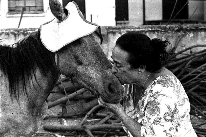 O coração de Palmira, a verdadeira líder da causa animal