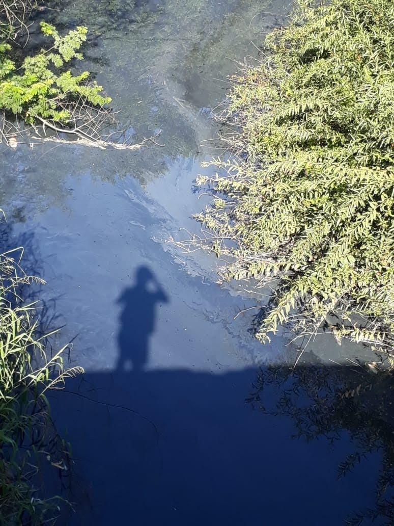 Dia Mundial da Água: mudanças no Marco Regulatório do Saneamento e desperdícios