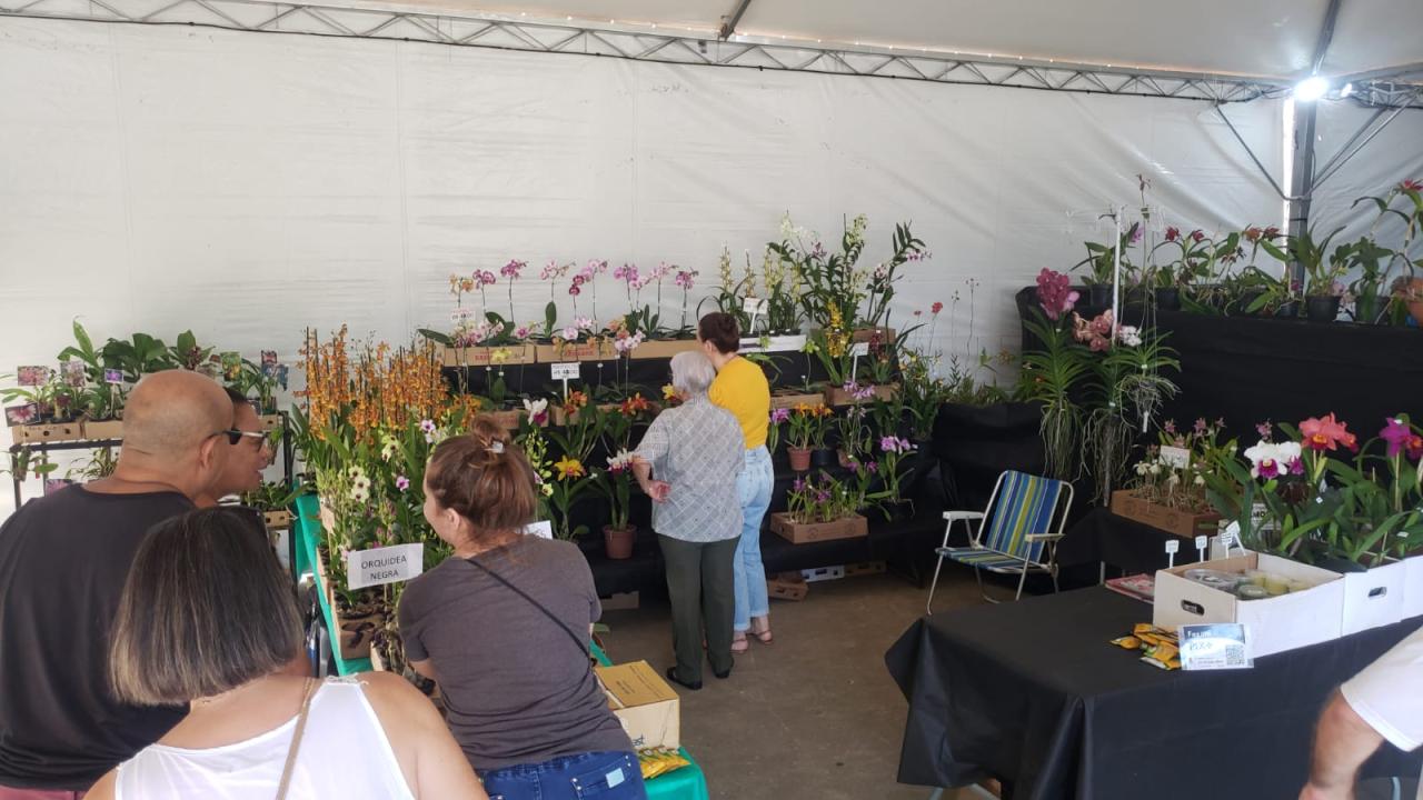 Grande público prestigia a Exposição de Orquídeas no centro de Guaíba