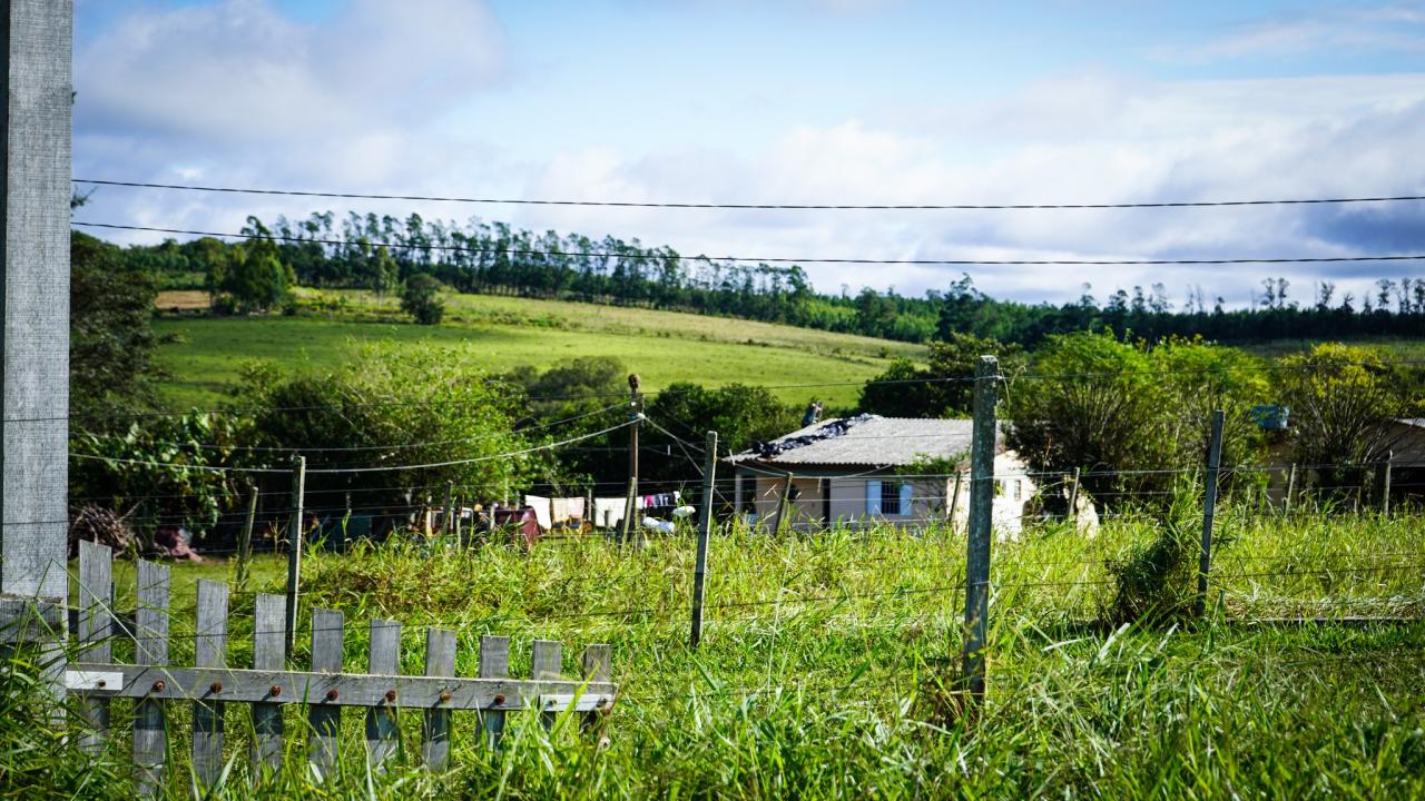 Prefeitura decreta situação de emergência após estragos causados pela chuva no interior de Guaíba