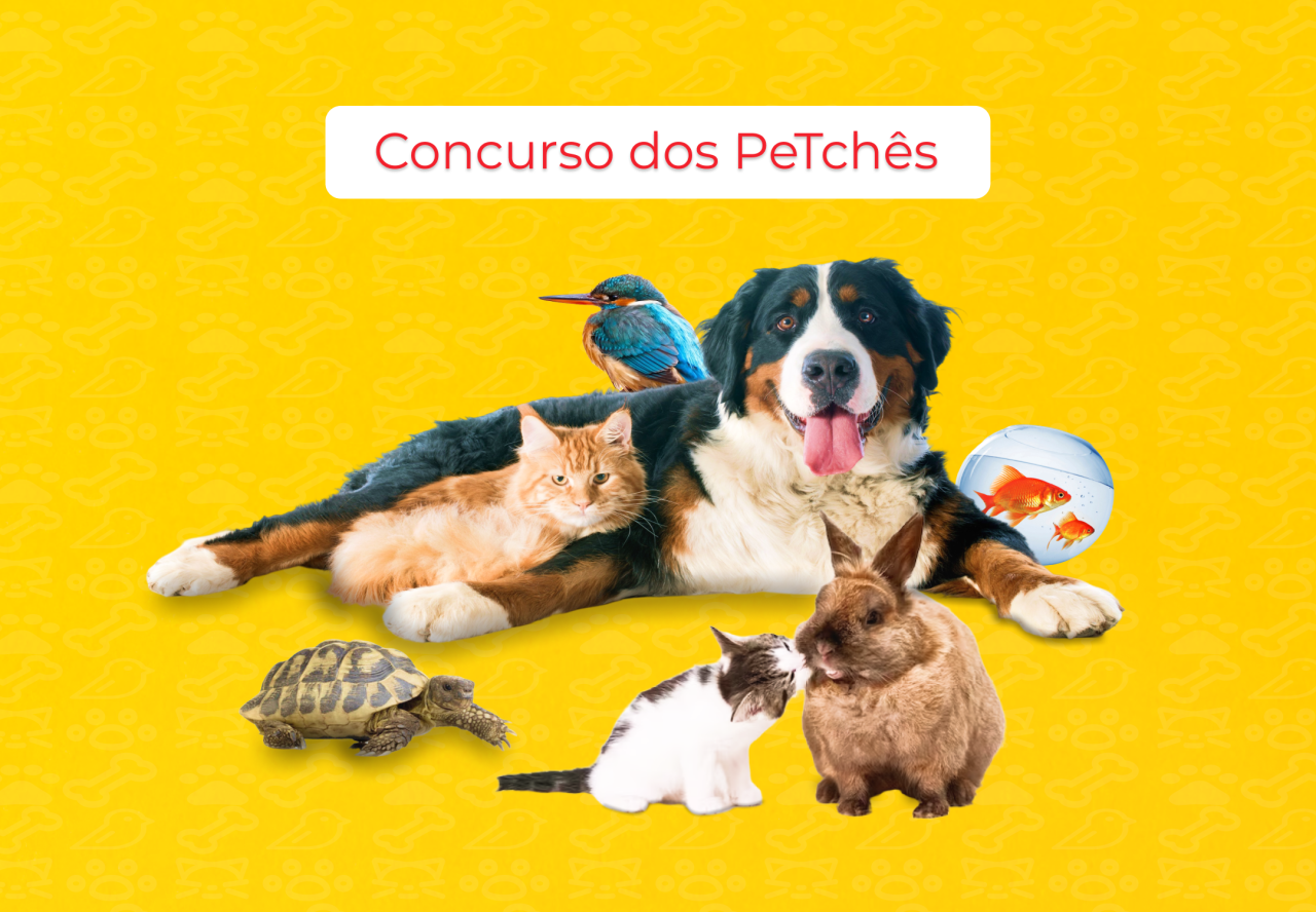 Tchê Delivery realiza concurso de fotografia de pets, o 