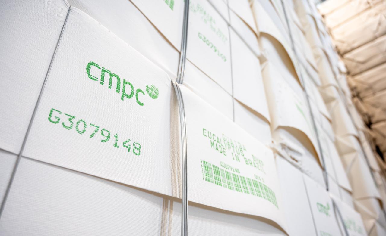 CMPC lança estratégia inédita de natureza, conservação e biodiversidade