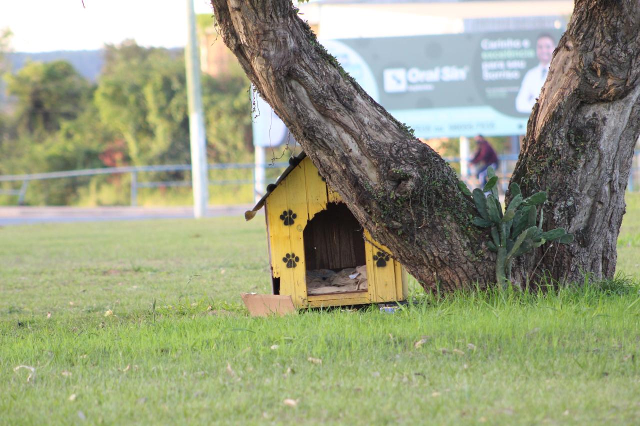 Secretaria do Bem-Estar Animal lança projeto de arrecadação de casinhas comunitárias