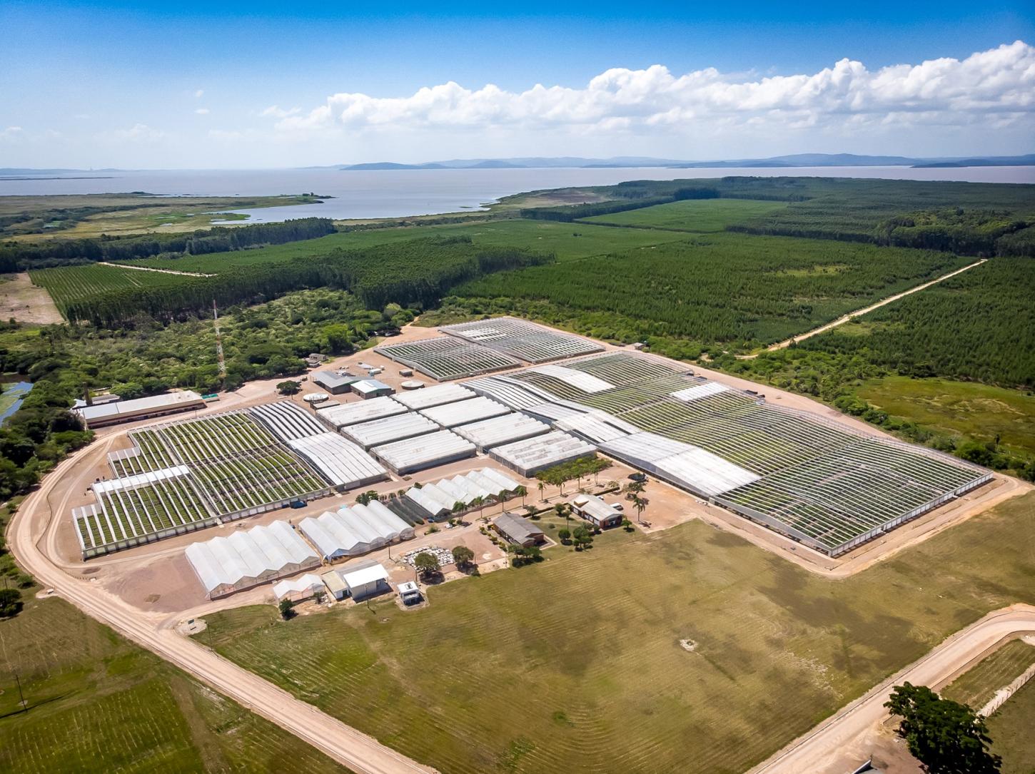 CMPC avança em ações de combate às mudanças climáticas