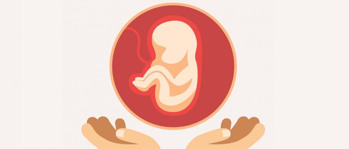 Aborto após 22 semanas: projeto gera polêmica, mas merece análise cuidadosa