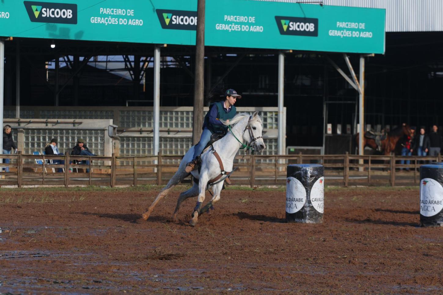 Guaíba é destaque nas provas de cavalo árabe da Expointer