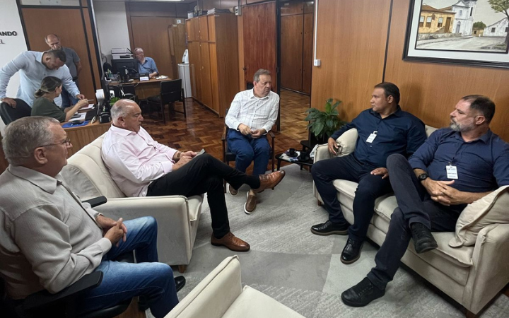 Vereadores buscam apoio na Assembleia Legislativa para melhorias na energia elétrica em Guaíba