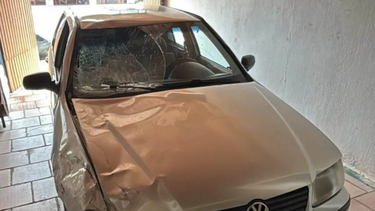 Suspeito de atropelar e matar menino de 10 anos na BR-116 é preso em Campinas (SP)