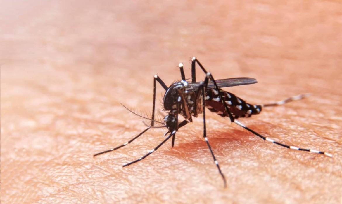 Com 16 casos confirmados, Guaíba monitora avanço da dengue e realiza ações de prevenção