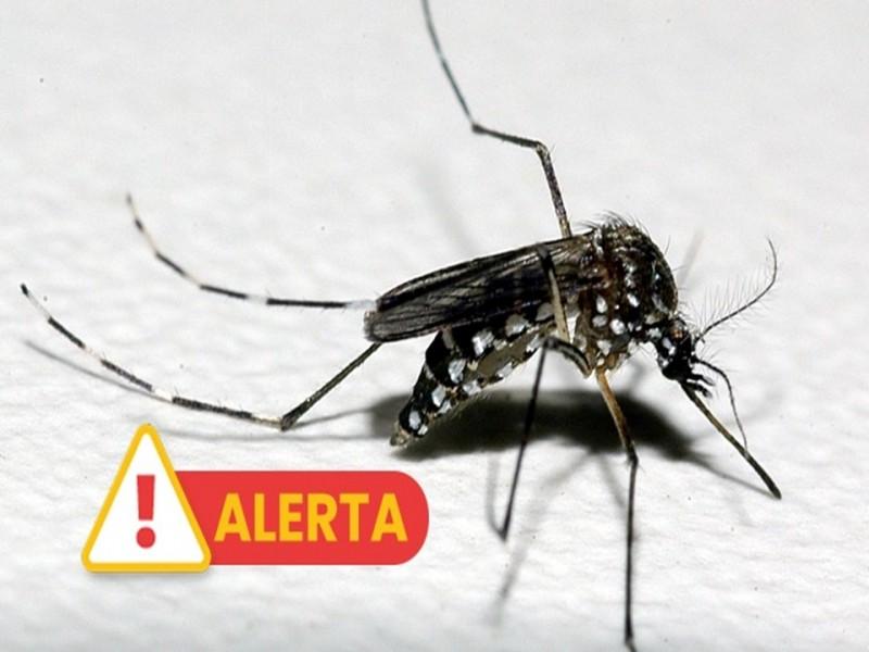 Com o Estado em alerta, Guaíba registra nove casos de dengue e um de chikungunya em 2025