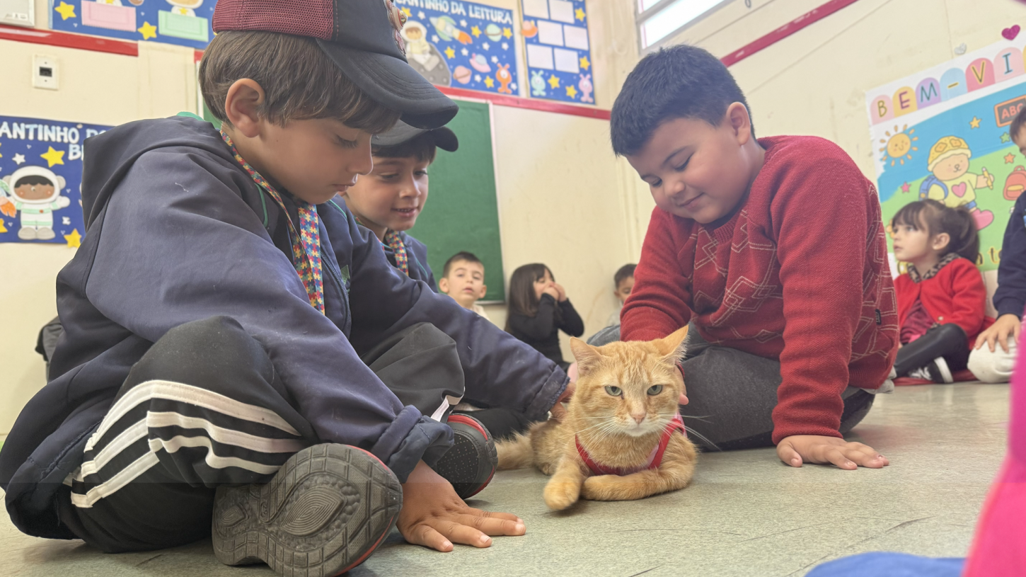 Projeto “Não Atire o Pau no Gato” leva conscientização sobre cuidados com animais às escolas de Guaíba