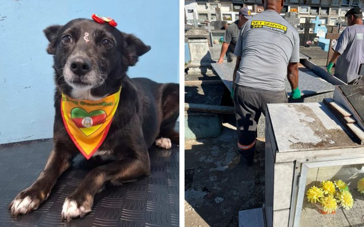 Primeira pet é enterrada no Cemitério Municipal de Guaíba após sanção de nova lei