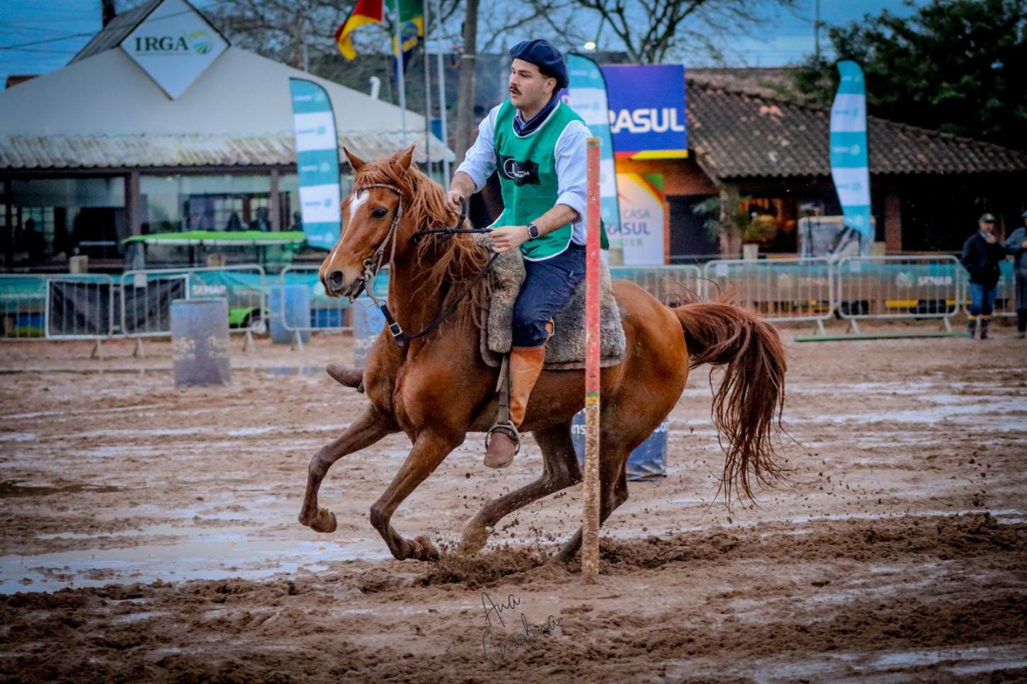 Guaíba se destaca em provas de cavalos árabes da Expointer, em Esteio