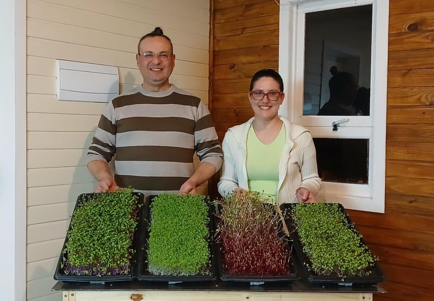Empreendimento de Guaíba aposta na produção artesanal de microverdes