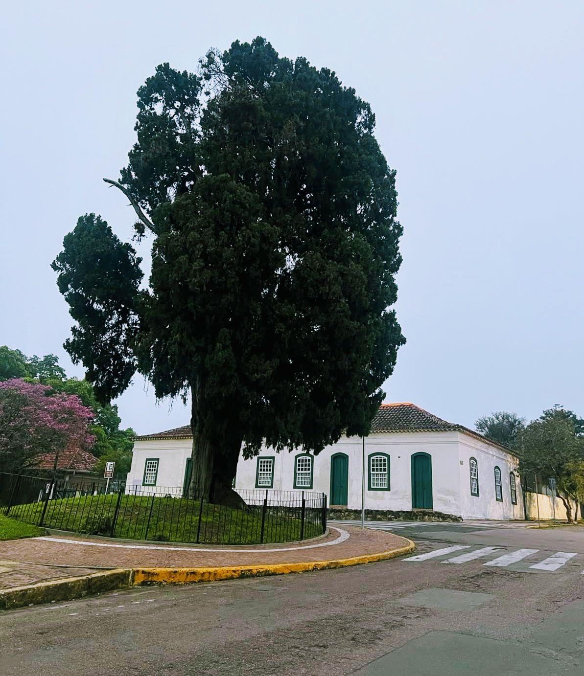 Vinicius Rhavi Pompeu Gudes